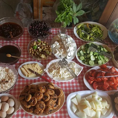 公寓式酒店 Mengen Konaklari